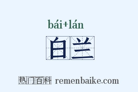 白兰是什么意思的图片